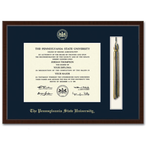 diploma frame with tassel shadow box Delta molding The Pennsylvania State University gold embossed with seal